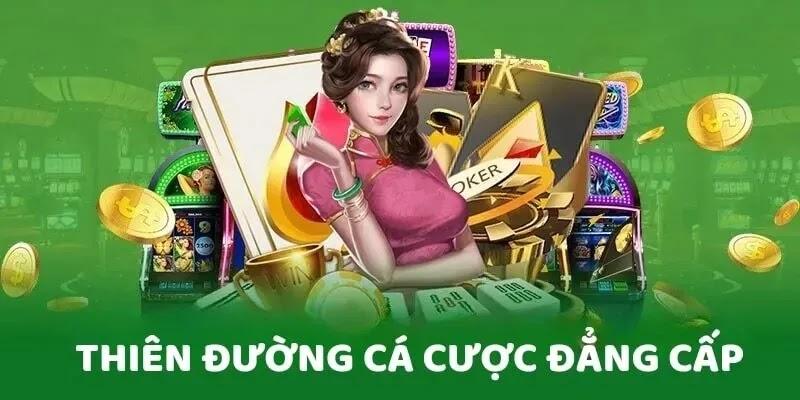 Về chúng tôi với những dịch vụ hỗ trợ vô cùng chuyên nghiệp